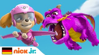 PAW Patrol  Die Welpen und der feuerspeiende Drache  Nick Jr Deutschland [upl. by Aran]