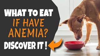 🐶🥣 FOODS for dogs WITH ANEMIA What to eat [upl. by Ahseiyn205]