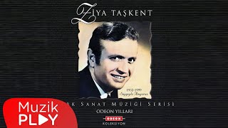 Sevmekten Kim Usanır  Ziya Taşkent Official Audio [upl. by Napra364]