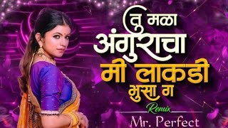 Tu Mala Anguracha Mi Lakdi Bhusa g  Chilout Mix  Dj Remix Song [upl. by Arammat487]