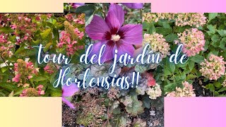 PRIMER RECORRIDO DE SEPTIEMBRE🤩 jardinería jardines flores hortensias tour recorrido jardin [upl. by Nolad]