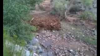 Flash Flood Beginning Near Virgin Utah amp Zion National Park [upl. by Ram719]