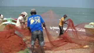 NEGOMBO FISH MARKET SRI LANKA [upl. by Aretse]