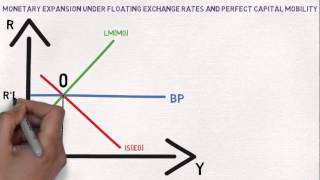 International Economics MundellFleming Model [upl. by Gwenneth]