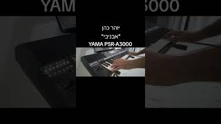 The Yamaha PSRA3000 presents A 1970s Hit Song יזהר כהן  אבניבי Cover Song [upl. by Coyle]