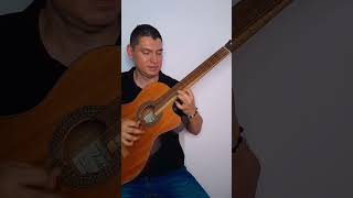 Estos Celos  Vicente Fernandez guitarra videoshort musicaranchera [upl. by Cissie937]