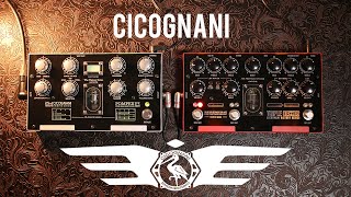 Cicognani Triple Decker preamp and Pompeii PE603 Echo demo [upl. by Nilyahs]