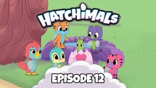 Hatchimals  Episode 7  Draggle Takes the Cake  TEAM HATCH YouTube Series [upl. by Nidnarb178]