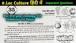 Lac Culture in hindi  BSc 3rd year Zoology 5th Semester first paper [upl. by Appledorf]