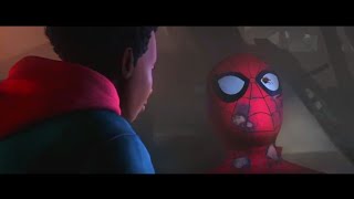 SPIDERMAN INTO THE SPIDERVERSE Now on Bluray amp Digital [upl. by Vaish]