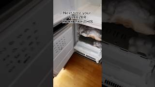 How to Defrost a Freezer With The Pots Methods [upl. by Aikenahs260]