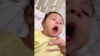 Baby sneezing Cute And Funny Baby Laughing Hysterically Compilation  cute baby video [upl. by Eatnohs798]