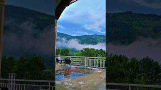 nature youtube shorts viralvideo [upl. by Maurili249]