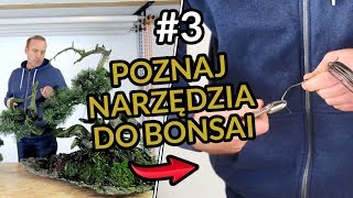 PRZYGOTOWANIE do STYLIZACJI drzewka BONSAI Ibuki 3 [upl. by Emelyne]