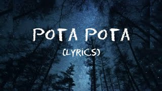 Pota pota  TikTok song lyrics [upl. by Grieve]