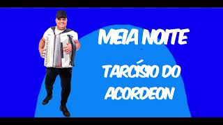 Tarcísio Do Acordeon  Meia Noite [upl. by Sherris]