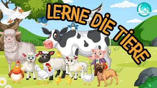 Tiere lernen für Kinder  Tierlaute Tiernamen Tierstimmen Tiergeräusche Kleinkinder [upl. by Oinimreh]