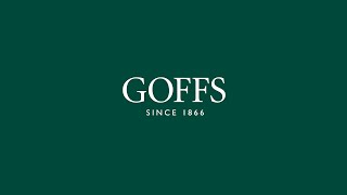 Goffs  October HIT amp Yearling Sale 2024 [upl. by Frodi531]