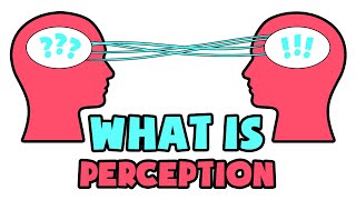 What is Perception  Explained in 2 min [upl. by Ainnat]