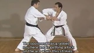 Karate Heian Sandan kata Bunkai [upl. by Einiar]