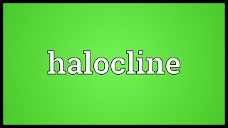 Halocline Meaning [upl. by Mauve]