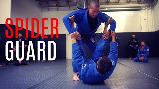 BJJ Techniques  Spider Guard Pass  CVBJJ Online [upl. by O'Callaghan]