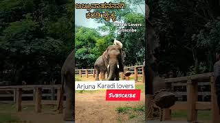 ಕರಡಿ ಬಬ್ರುವಾಹನ ಅರ್ಜುನ abhimanyu elephant ಭೀಮ arjuna elephant dasaraelephant bhimabhima [upl. by Ymor543]