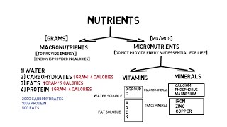 Nutrients  What are Nutrients  Explained  Hindi Audio   Nutrition Series  Episode 1 [upl. by Fernas433]