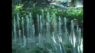 Dancing Waters amp Twin Waterfalls Opryland Resort Hotel Nashville seen from Room C0266 [upl. by Monique]