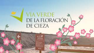 Vía Verde Floración de Cieza [upl. by Chi]