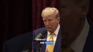 Politician vs businessman  The vetting dilemma joeroganexperience jre trump podcast [upl. by Fezoj]