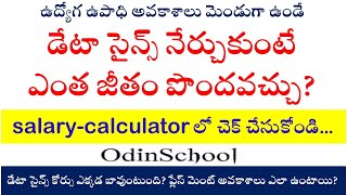 డేటా సైన్స్ నేర్చుకుంటే ఎంత జీతం పొందవచ్చు Datascience salarycalculator ప్లేస్ మెంట్స్ ఎలా ఉంటాయి [upl. by Idnahk]