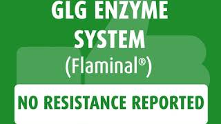 Flaminal®  Antibiotic Resistance Awareness [upl. by Fred]