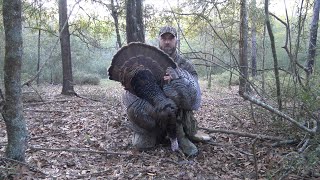 Spring Turkey Hunting  Vocal Hen Costs a Gobbler [upl. by Anaerdna]