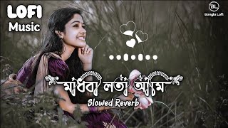 মাধবি লতা আমি  Slowed × Reverb  Madhobi Lota Ami  Lofi  Slowed Lofi Music  Bangla Lofi [upl. by Sinegra]