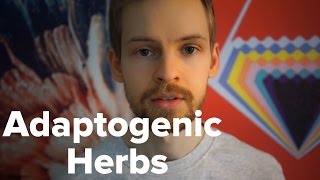 My Experiences with Adaptogenic Herbs [upl. by Bac]