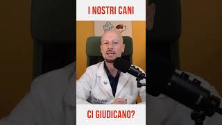 I nostri cani ci giudicano o no [upl. by Einttirb]