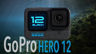 GOPRO HERO 12 Underwater Test  WATCH BEFORE PURCHASING [upl. by Brannon880]