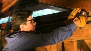 How to Prevent Pests from Entering Your Attic [upl. by Tace]