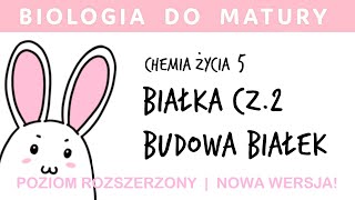 Chemia życia 5  Białka proteiny  budowa białek  biologia do matury liceum [upl. by Salakcin644]