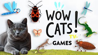 Cat Games 🐾 The Ultimate 3Hour Compilation  Fun Interactive Games for Cats [upl. by Dunning]