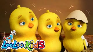 Little Chicks  Hey Diddle Diddle 🐤 Roly Poly Nursery Rhymes  Baby Learning Videos by LooLoo Kids [upl. by Ettezus]