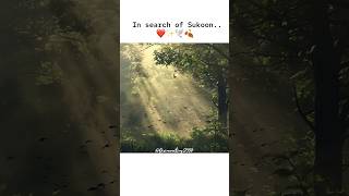 In search of sukoon❤️✨🕊️🍂 shorts nature statusexplore beauty love [upl. by Attelocin]