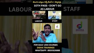 GULF LABOUR VS STAFF ACCOMODATION shorts ytshorts SonyMusicSouth [upl. by Rodina]