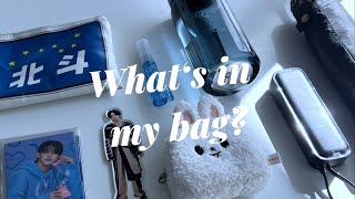 ［Whats in my bag ］荷物が多い日のバッグの中身｜ミニマリスト [upl. by Anneres]