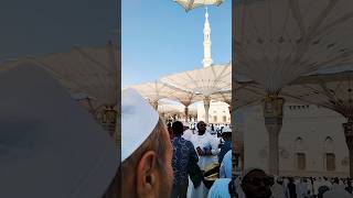 Jumma mubark❤️duwa m yaad rakhna sabhi bhai MasjidENabwi live haji tableegh masjidnabawi naat [upl. by Hcardahs454]