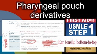 Pharyngeal pouch derivatives in HindiUrdu by aid for USMLE step 1 [upl. by Blain]