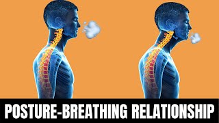 How Breathing Affects Your Posture and Posture Affects Breathing Breathing Disorders Anxiety Etc [upl. by Auos255]