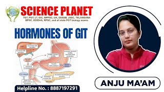 HORMONES OF GIT II ENDOCRINE CELLS II BY ANJU MAM II SCIENCE PLANET II [upl. by Asiralc]