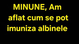 Imunizarea albinelor ieftin și eficient 100 [upl. by Eelrebmik237]